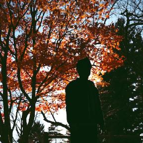 platanus<span class="title-dot">.</span> <span class="title-name">MINCHEOL KANG</span>